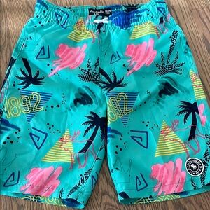 Abercrombie Kids Teal and Pink Swim Shorts
